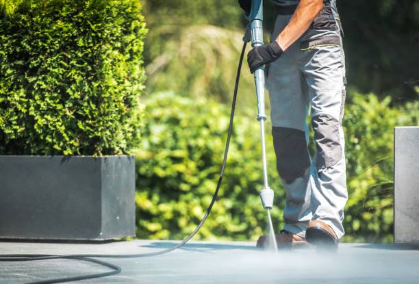 Best Fence Cleaning  in Dewart, PA